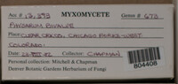 Image Associated With the Occurence